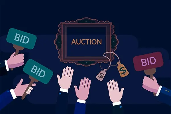  Cricket Auction Bidding Process - AllAuction.in